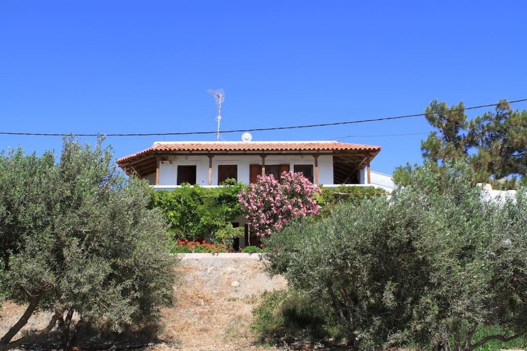 Makrýgialos Traditional Olive House מראה חיצוני תמונה