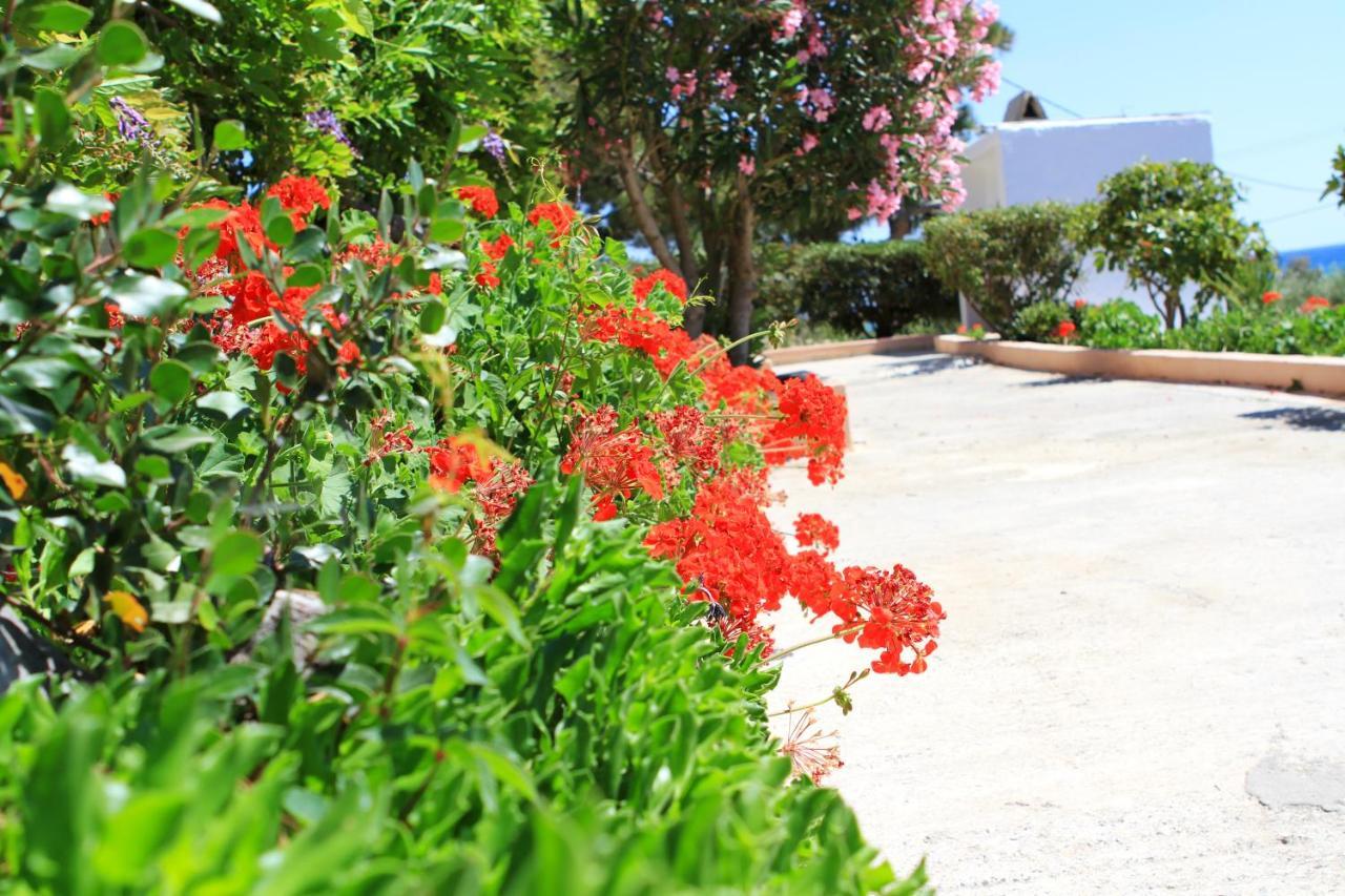 Makrýgialos Traditional Olive House מראה חיצוני תמונה